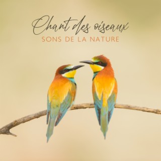 Chant des oiseaux : Sons de la nature