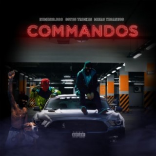 Commandos ft. TZO & The Ero_nemesis696 lyrics | Boomplay Music