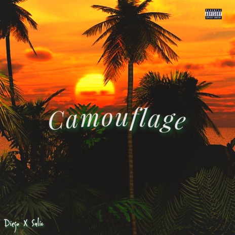 Camouflage ft. Salic | Boomplay Music