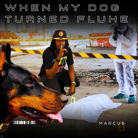 When My Dog Turned Fluke | Boomplay Music