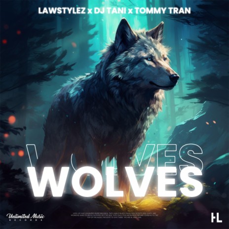 Wolves ft. dj tani & Tommy Tran