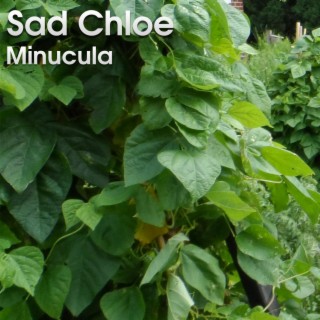 Minucula