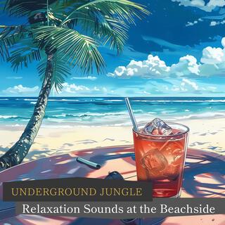 Relaxation Sounds at the Beachside