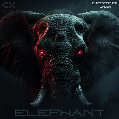 Elephant | Boomplay Music