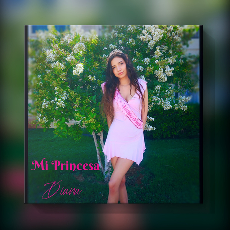 Mi Princesa | Boomplay Music