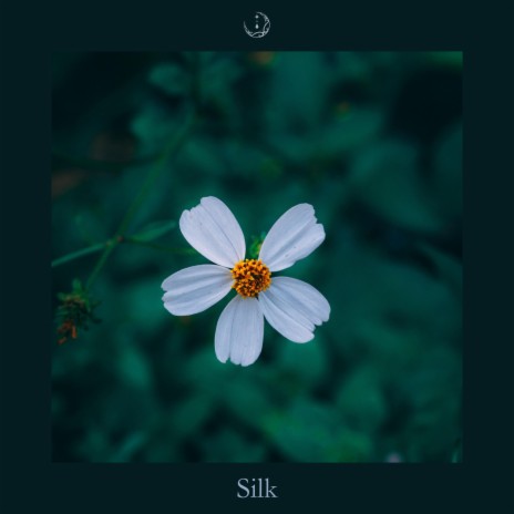 Silk | Boomplay Music