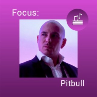 Focus: Pitbull