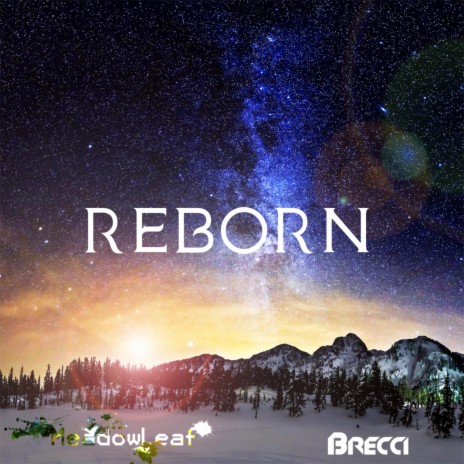 Reborn ft. Meadowleaf | Boomplay Music