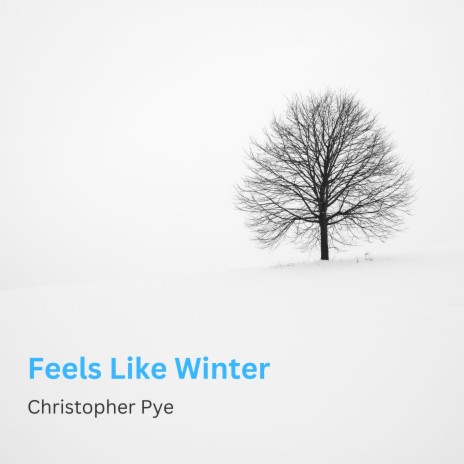 Feels Like Winter | Boomplay Music