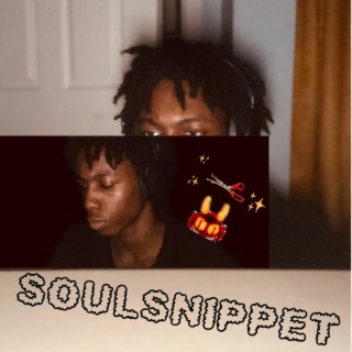 soul snippet