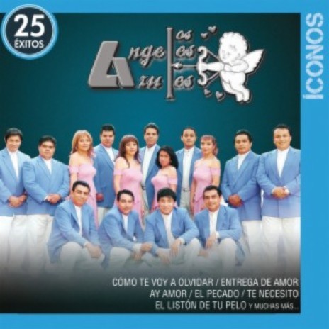 Que Tonto Fui (Album Version) | Boomplay Music