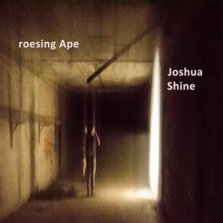 Joshua Shine