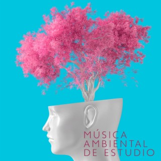 Música Ambiental de Estudio: Calma los Nervios y Relaja Tu Subconsciente