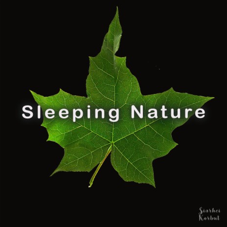 Sleeping Nature | Boomplay Music