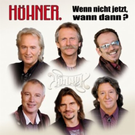 Wir werden uns wiederseh'n (Live From Germany/2002) | Boomplay Music