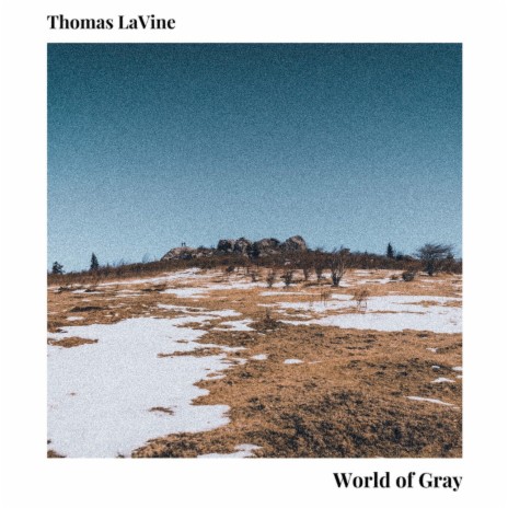 World of Gray | Boomplay Music
