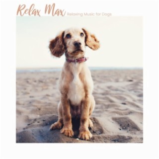 Relax Max (Relaxing Music for Dogs)