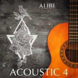 Acoustic, Vol. 4