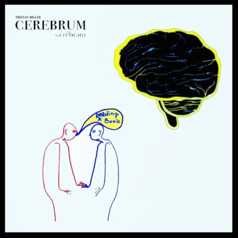 Cerebrum