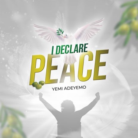 I Declare Peace | Boomplay Music