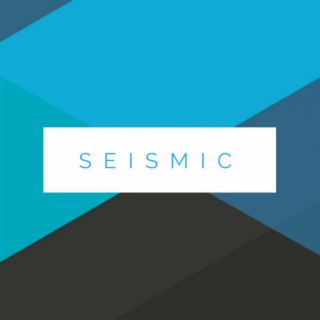 Seismic