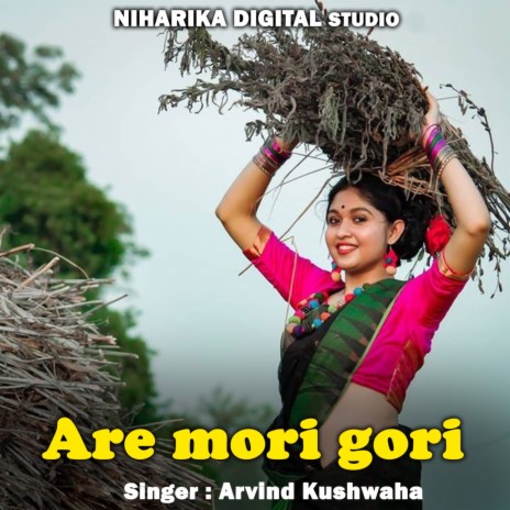 Are Mori Gori ft. Ramdevi Sargam