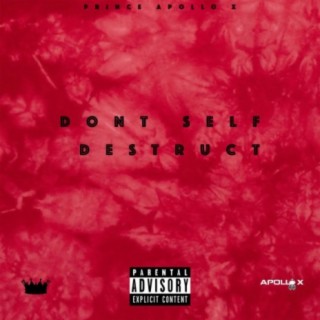 Dont Self Destruct lyrics | Boomplay Music