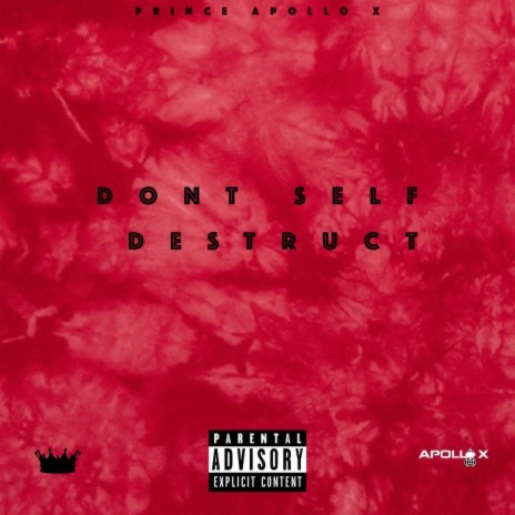 Dont Self Destruct | Boomplay Music