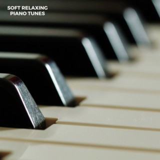 Soft Relaxing Piano Tunes