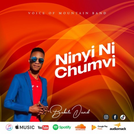 NINYI NI CHUMVI (Official Audio)