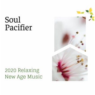 Soul Pacifier - 2020 Relaxing New Age Music
