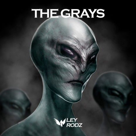 The Grays | Boomplay Music