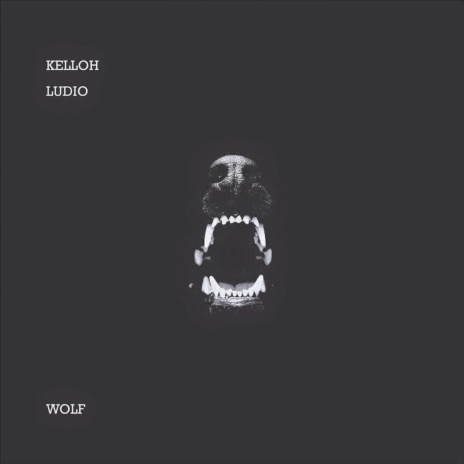 Wolf ft. Ludio | Boomplay Music