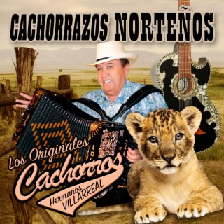 Cachorrazos Norteños