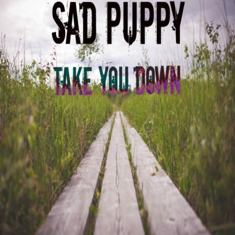 Take You Down (Radio Edit) | Boomplay Music