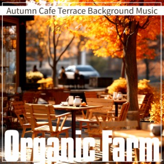 Autumn Cafe Terrace Background Music