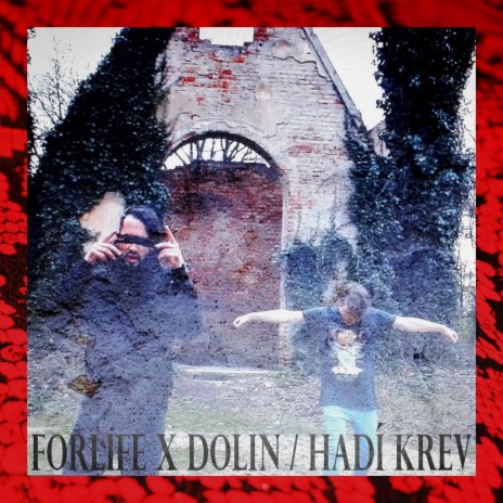 Hadí Krev (feat. Forlife) | Boomplay Music