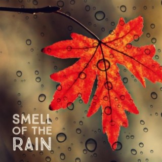 Smell of the Rain