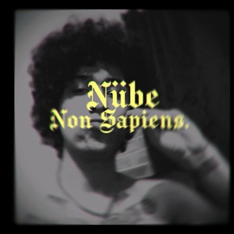 Non Sapiens | Boomplay Music