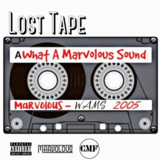 Lost Tape: W.A.M.S