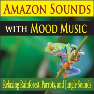 Amazon Sounds with Mood Music (Relaxing Rainforest, Parrots, and Jungle Sounds)