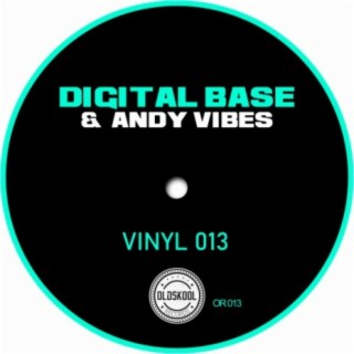 Vinyl 013