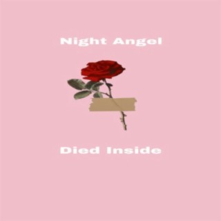 Night Angel