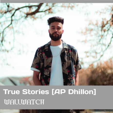 True Stories (Ap Dhillon) | Boomplay Music