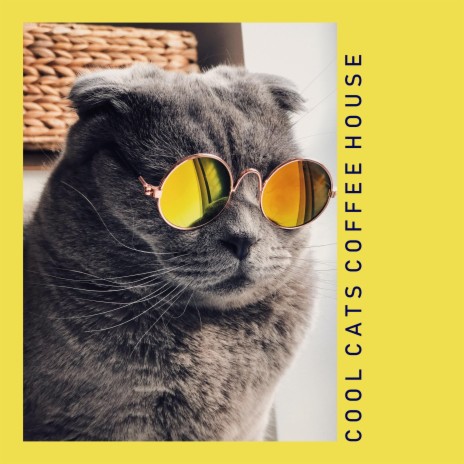 Cool Cats Love Smooth Jazz | Boomplay Music
