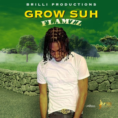 Grow Suh ft. Brilli | Boomplay Music