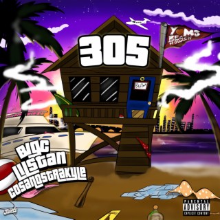 305 ft. Big C & Cosanostra Kyle lyrics | Boomplay Music