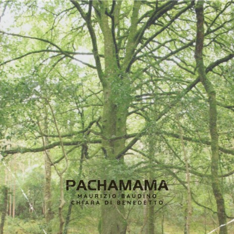 Pachamama | Boomplay Music