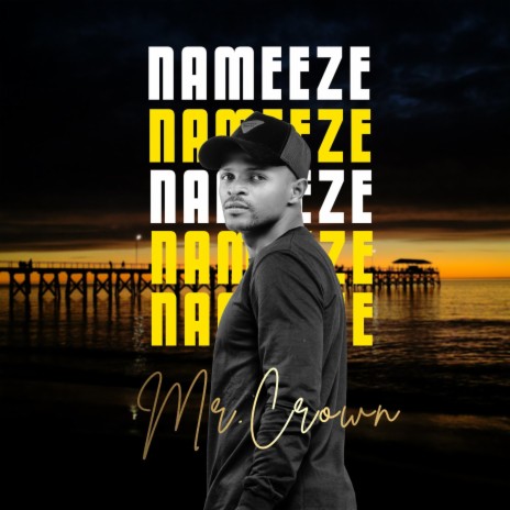 Nameeze | Boomplay Music