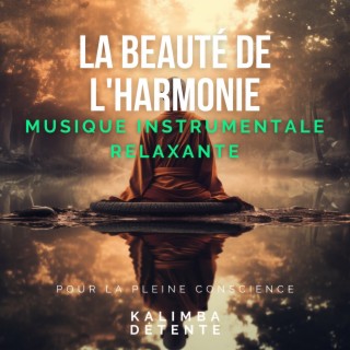 La beauté de l'harmonie: Musique instrumentale relaxante pour la pleine conscience